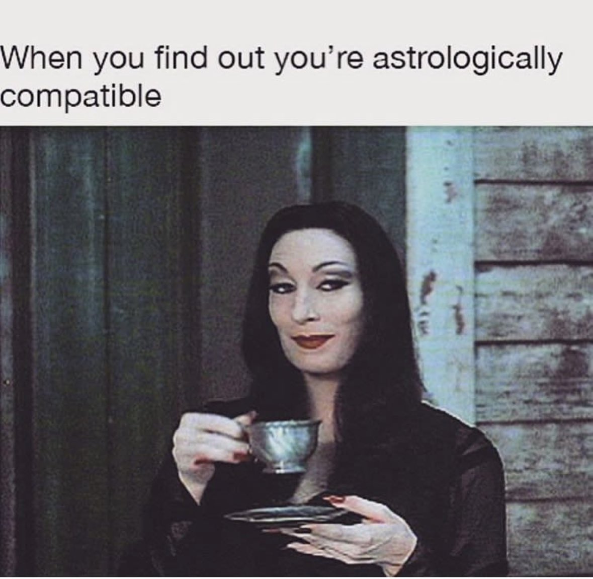 DosseVia's tweet image. i write books that help us remember that love is infinite and exists all around and within us 💕 

ready to deepen your knowledge of astrological #compatibility? 

pre-order the abridged paperback edition of #SignsAndSkymates 📖 

bookshop.org/p/books/the-es… out Aug 6, 2024 ✨