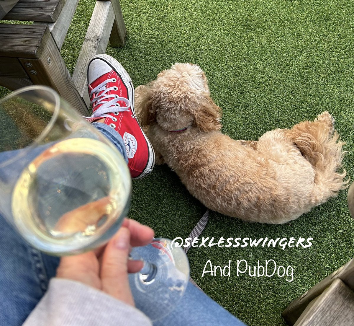 Happy #BankHolidayWeekend to everyone in the U.K. ! 

Sunday night, relaxing in the pub garden with #PubDog & a large glass of pinot. 

Reminiscing about last weekend! Join us on episode 42 and listen in to the fun times we had 😁😈❤️

#SundayNight #NoWorkTomorrow #StartOfSummer