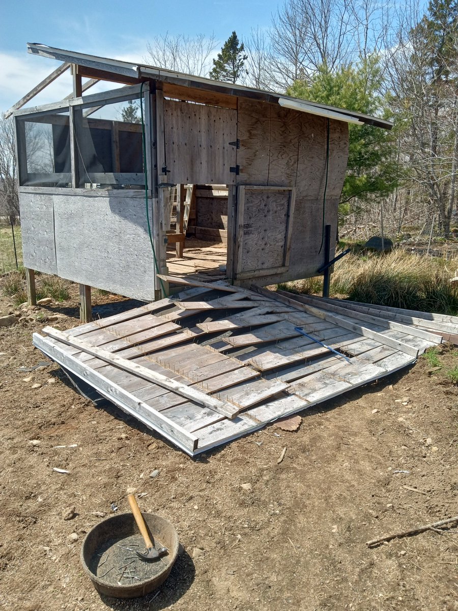 I put up this shelter for the sheep to help keep them cool in the Summer. Sheep have been gone for years. Last Winter a big wind lifted the roof and flipped it over to the other half. I've pulled it off and am dismantling it and reassembling back into place.