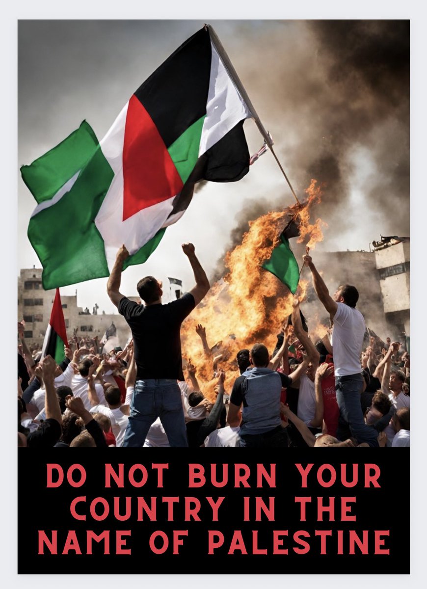 🛑لا تحرق وطنك وبلدك بإسم فلسطين .

#UCLAProtest