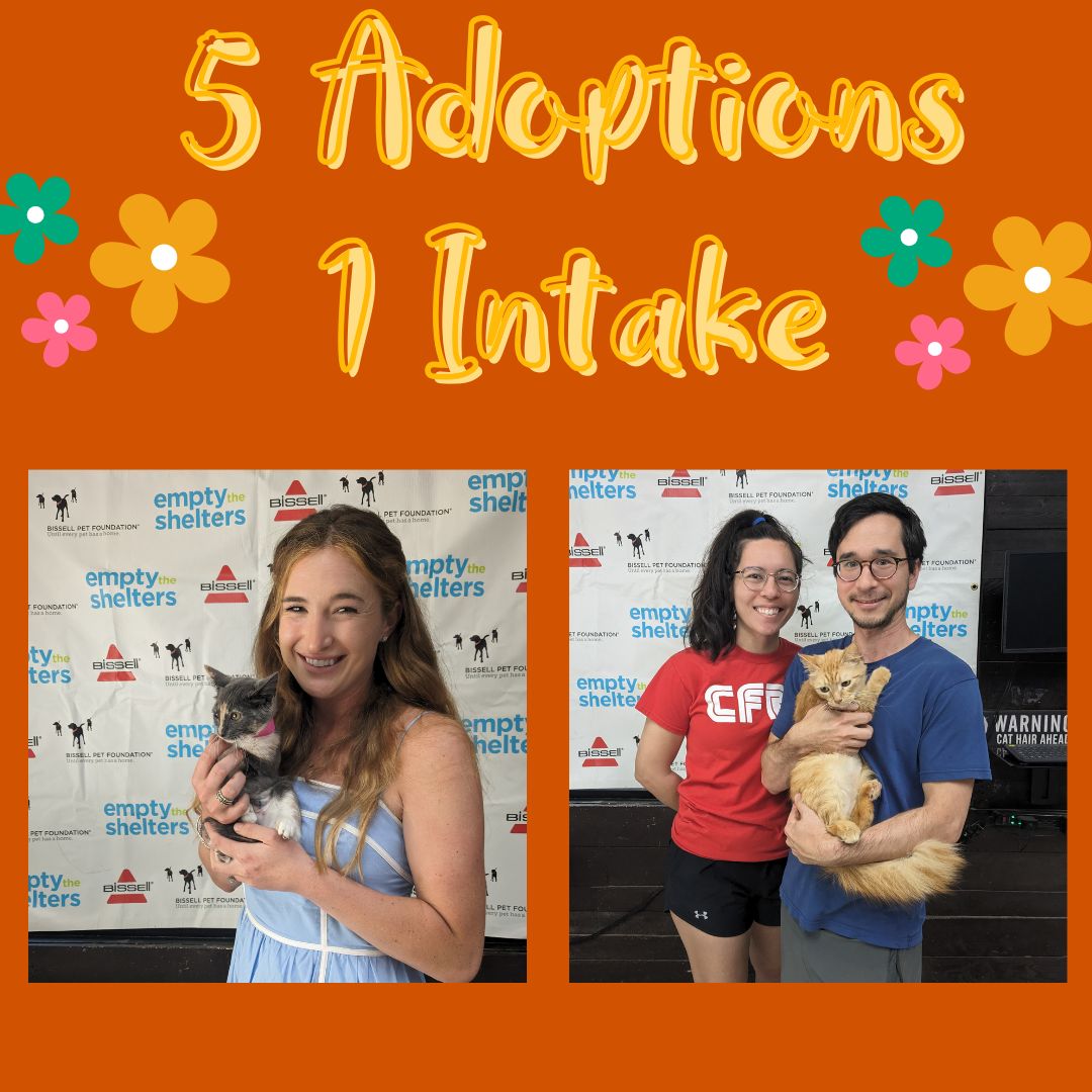 Not a bad way to end the weekend. 5 adoptions, 1 intake, and 1 animals reunited with their owner. Cleopatra, Poshi, Pee Dee, Harvest, and Bobby were adopted. We are closed tomorrow. Thank you to Cathy Bissell for the Bissell Empty the Shelter Adoption Event.