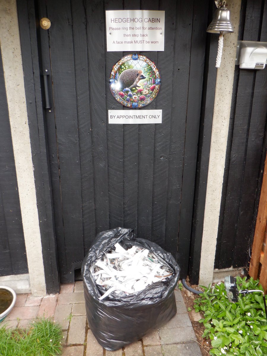 <a href="/BeachBonkersHQ/">Kate</a> Aww, you are so kind and thoughtful, Kate, thank you. Yes, I know, all these silly people trying to get liked, without a thought for the poor animals they are hurting.
Thank you again for the bag of gold (the torn paper strips)!! I am SO happy. 
The best present ever. 🥰💕🫂xxx