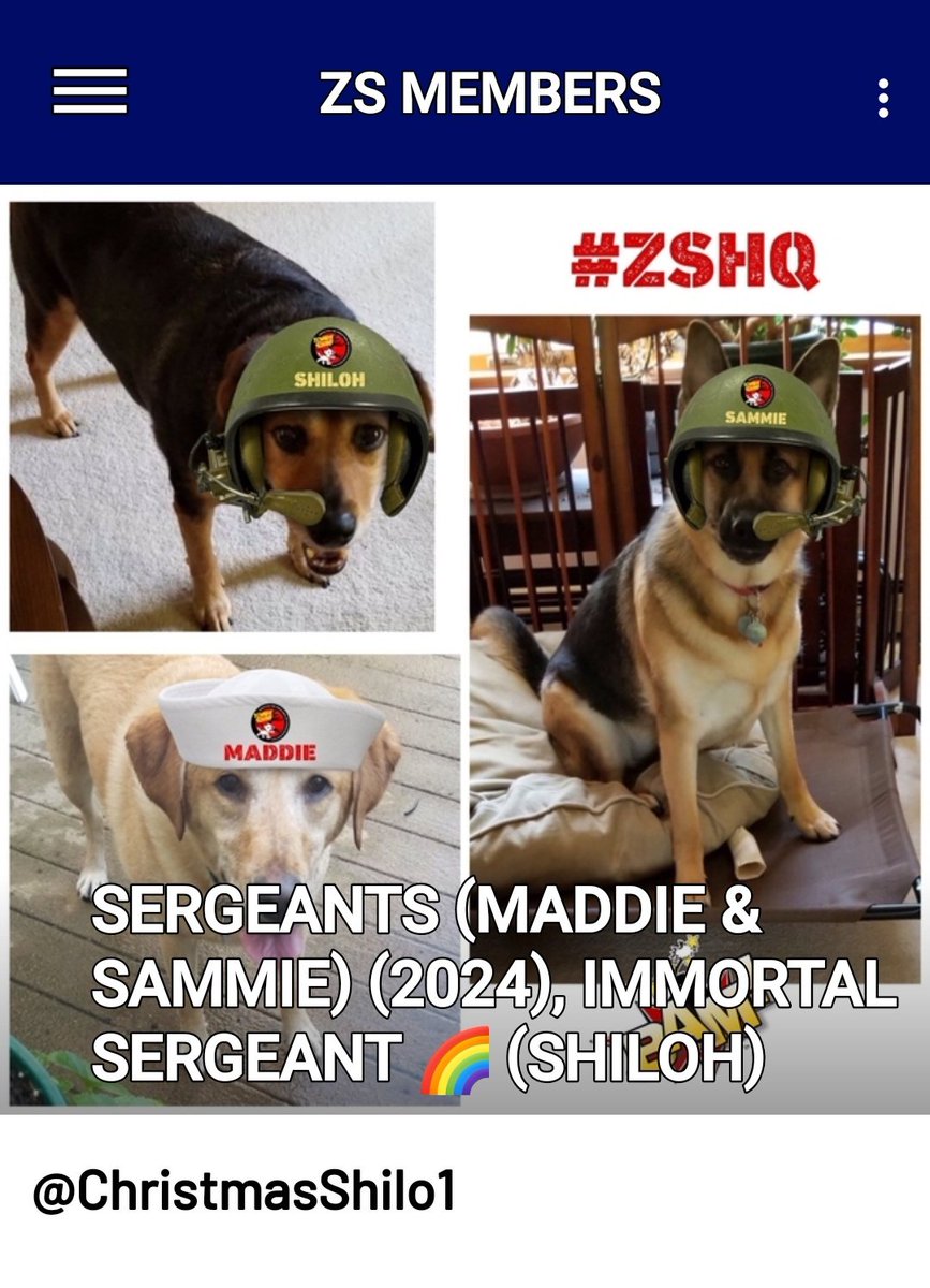 @ChristmasShilo1 @MuddlesDog @RhondaHendee @ThorSelfies @TheCatMalice @CancerDoggy ZOMBIESQUAD HQ ADMIN TEAM has agreed that because SHILOH crossed OTRB🌈 after 01st May 2024 (Founders Day being either 1st May or nearest weekend) then SHILOH is an IMMORTAL SERGEANT 🫡💚🐾 #ZSHQ