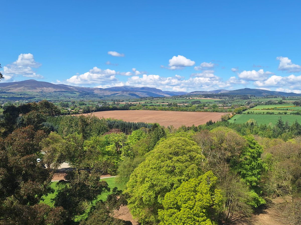 Avondale Tree top walk a d  Forest Park incredible  views, over the Wicklow mountains, Avonmore river valley and the Vale of Avoca. You can take the slide for a fantastic descent from the top of the Tower! The slide from the top takes 10 and no neither of us did it