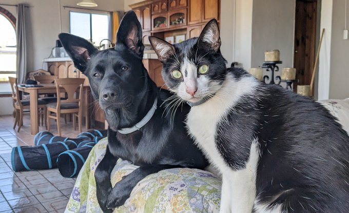 My babes https://t.co/goJUB33w4P