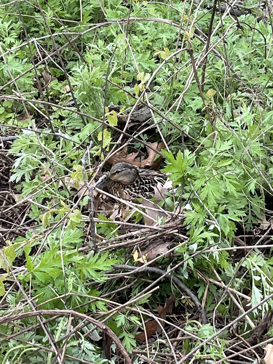 Brother Bill tweet media