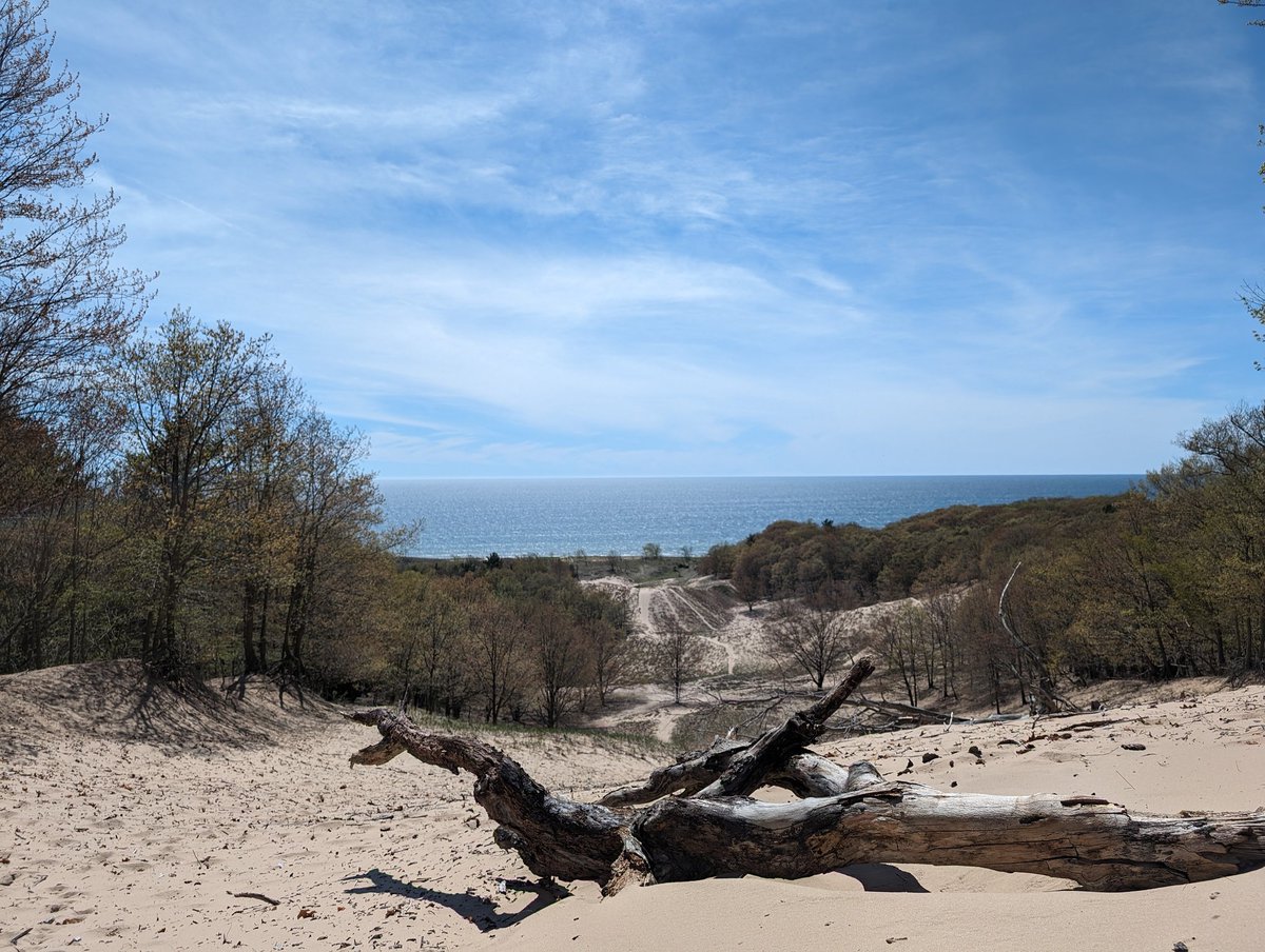 Best view from today's hike, Lake Michigan from the top of the highest dune in the state park