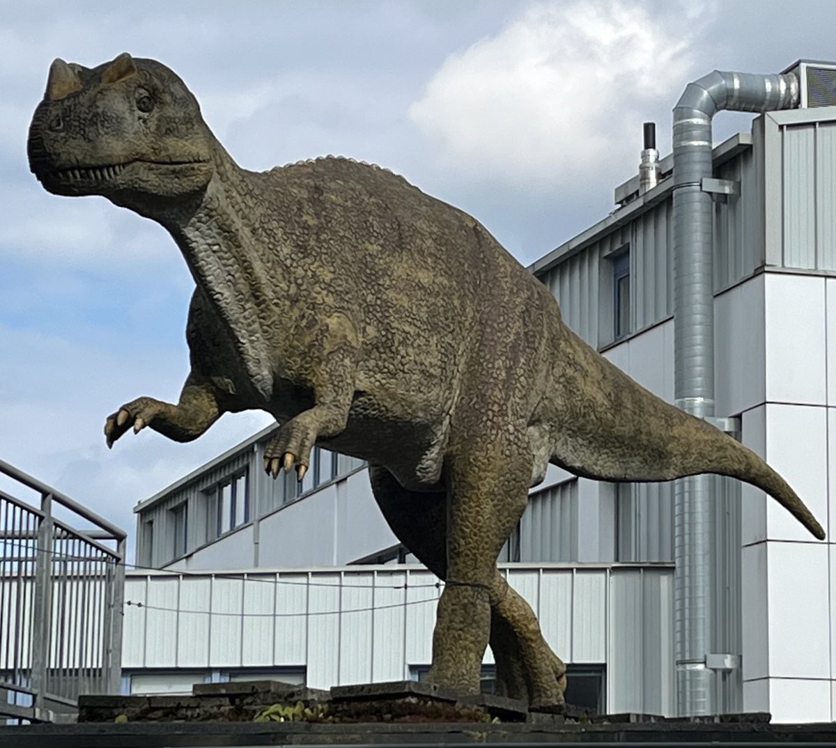 Jurassic Parc in Hannover….? 🤨