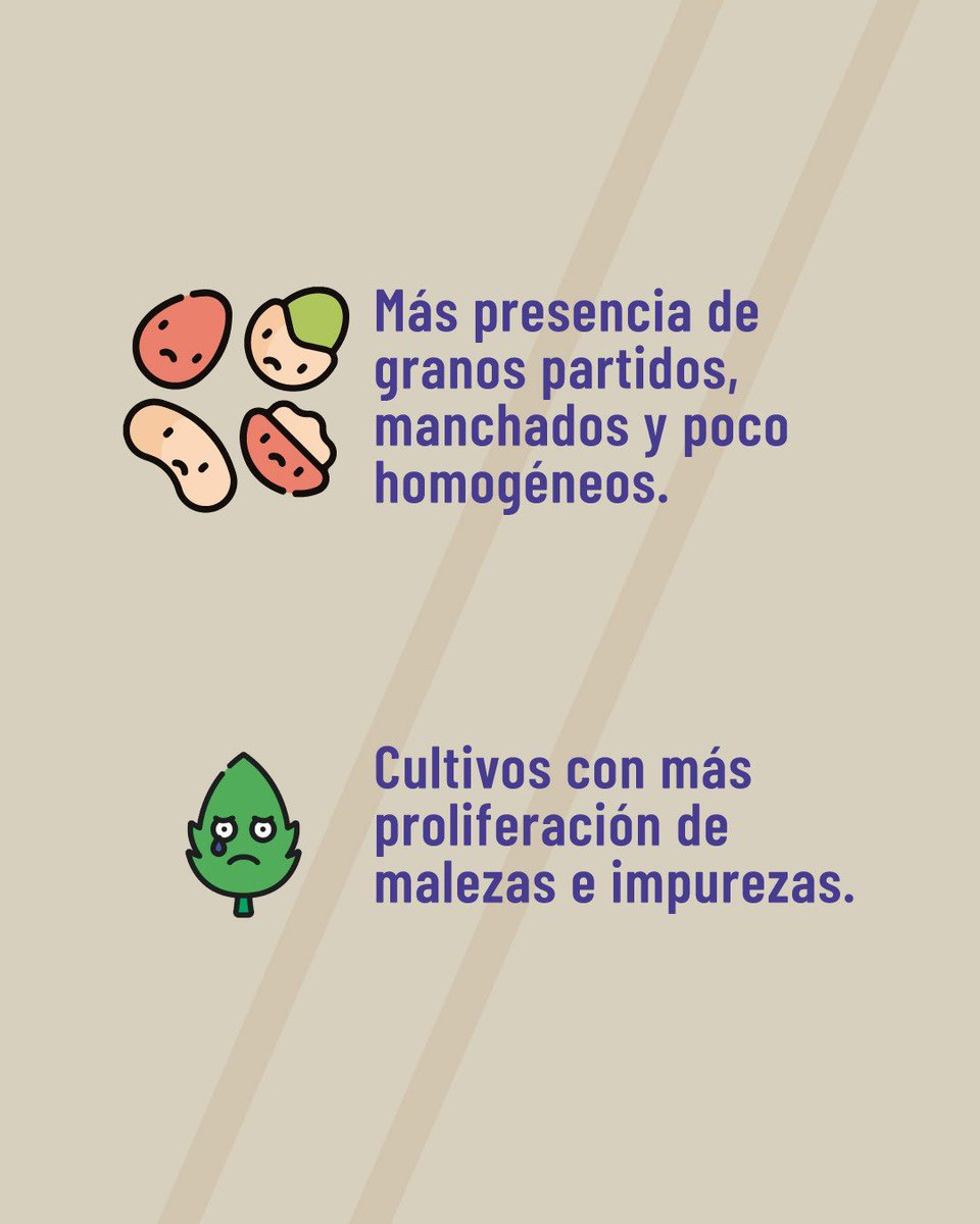 Agricultura, Ganadería y Pesca Ecuador 🇪🇨 tweet media