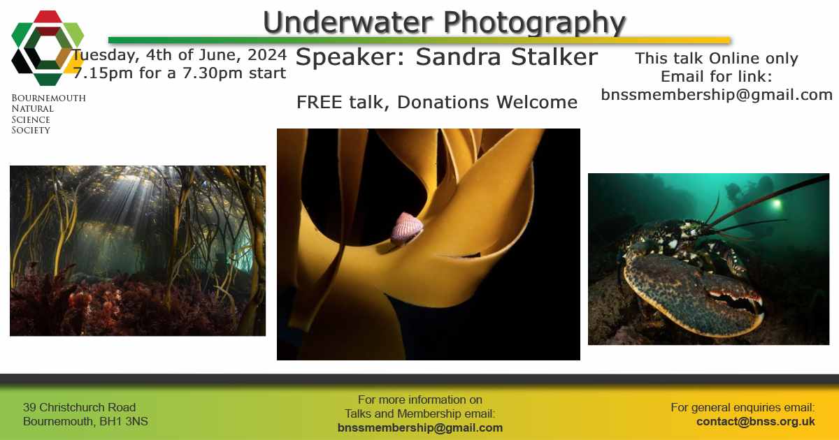 Bournemouth Natural Science Society & Museum (@bnss1) on Twitter photo 