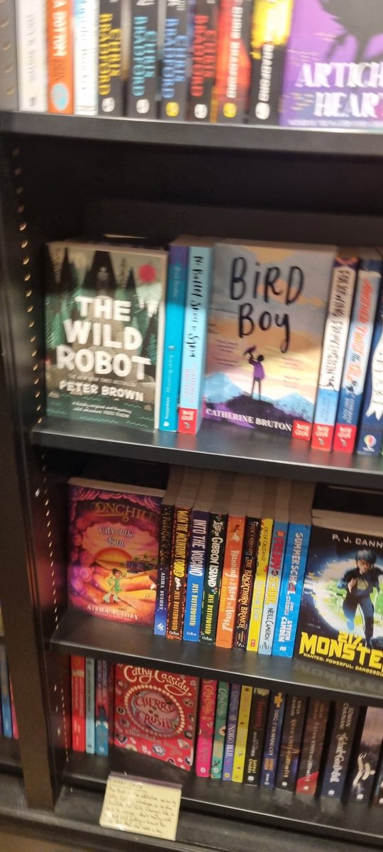 So exciting to see 'Birdboy' on the shelves in @WaterstonesOxf today while visiting my own lovely boy who is madly revising for medical exams! @NosyCrow @hannah_prutton @DuncanZoe @rupertcrew