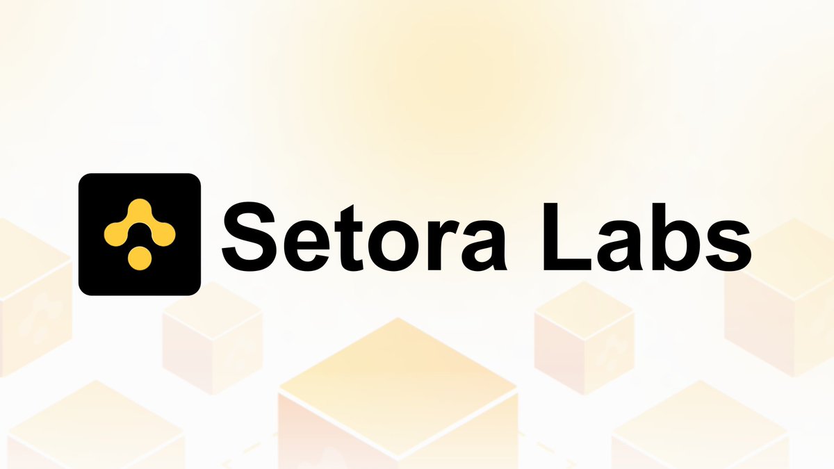 Introducing Setora Labs

We are a $SOL-based synthetic dollar protocol offering a crypto-native alternative to traditional stablecoins. 

Our aim is to create a stablecoin that is superior to traditional stablecoins in terms of scalability, stability, and censorship resistance.