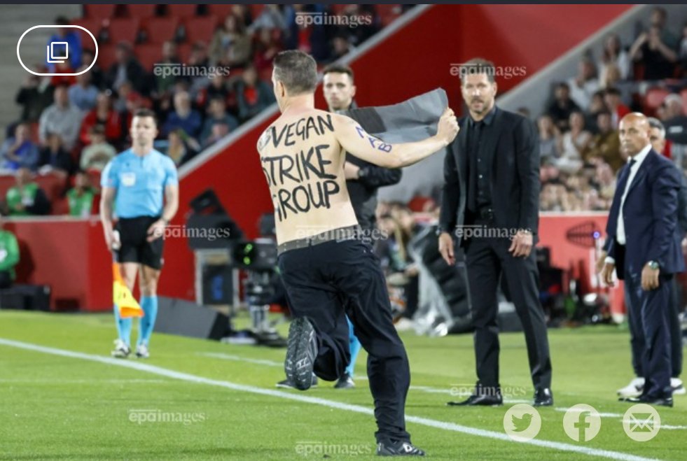 I love the face of Diego Simeone 😍
Yes i ask attention for the bulls and horses during the futball game @RealMallorcaUK_ against @Atletico_MD 
#banbullfighting  
#veganstrikegroup