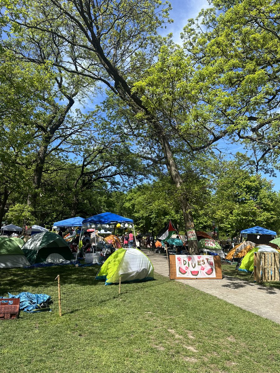 Day 7 of the UChicago Popular University for Gaza. The sun shines for all of us, ages 0-90. Love, abundance and grief in community.