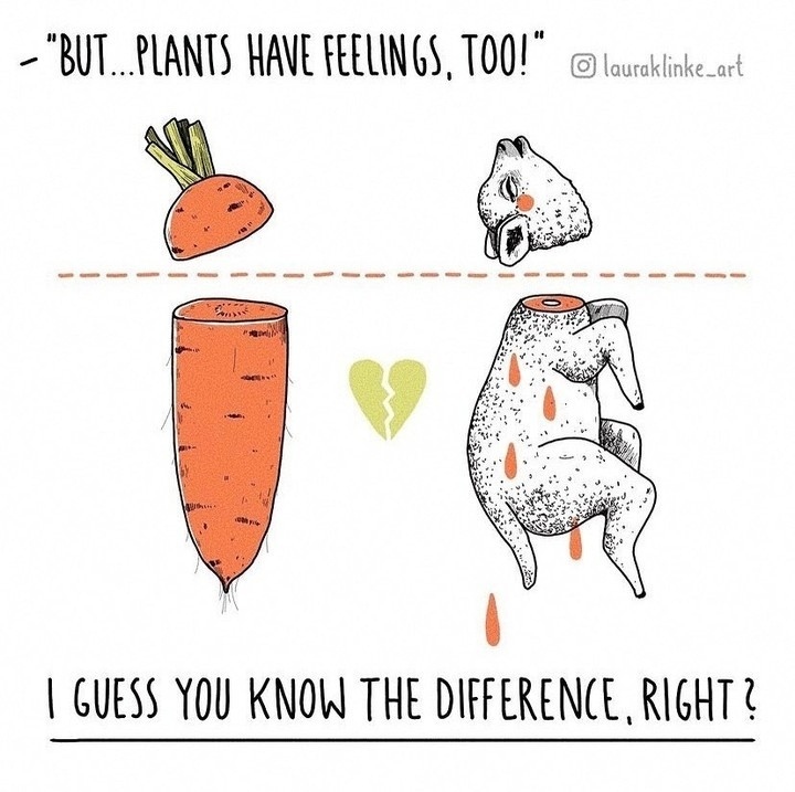 You see the difference... Right? 👀

👉 For free help keeping animals in your heart and off your plate: bit.ly/VeganFTA22
⁠
📸 'lauralinke_art' on IG
⁠
#plants #animals #plantbased #vegan #illustration