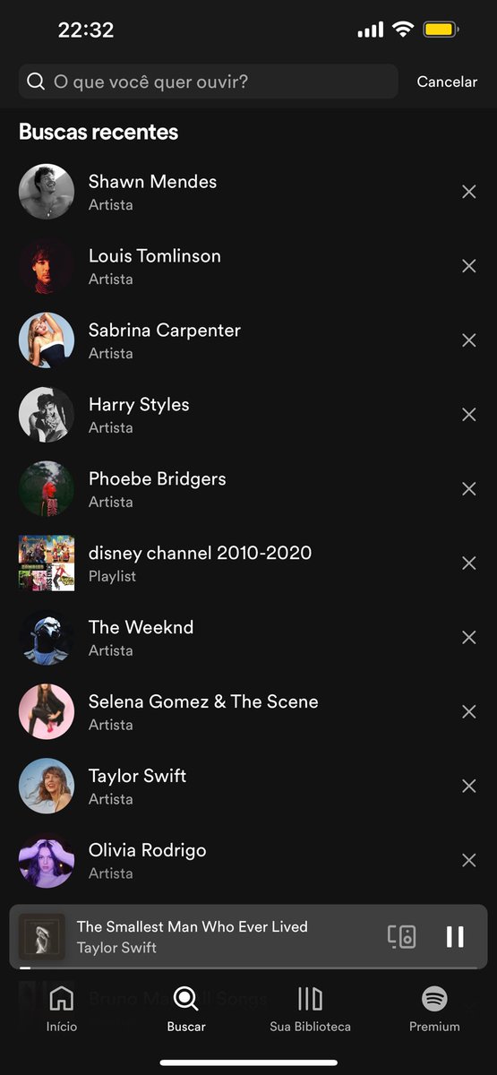 posso ver o pesquisar de vcs do Spotify?