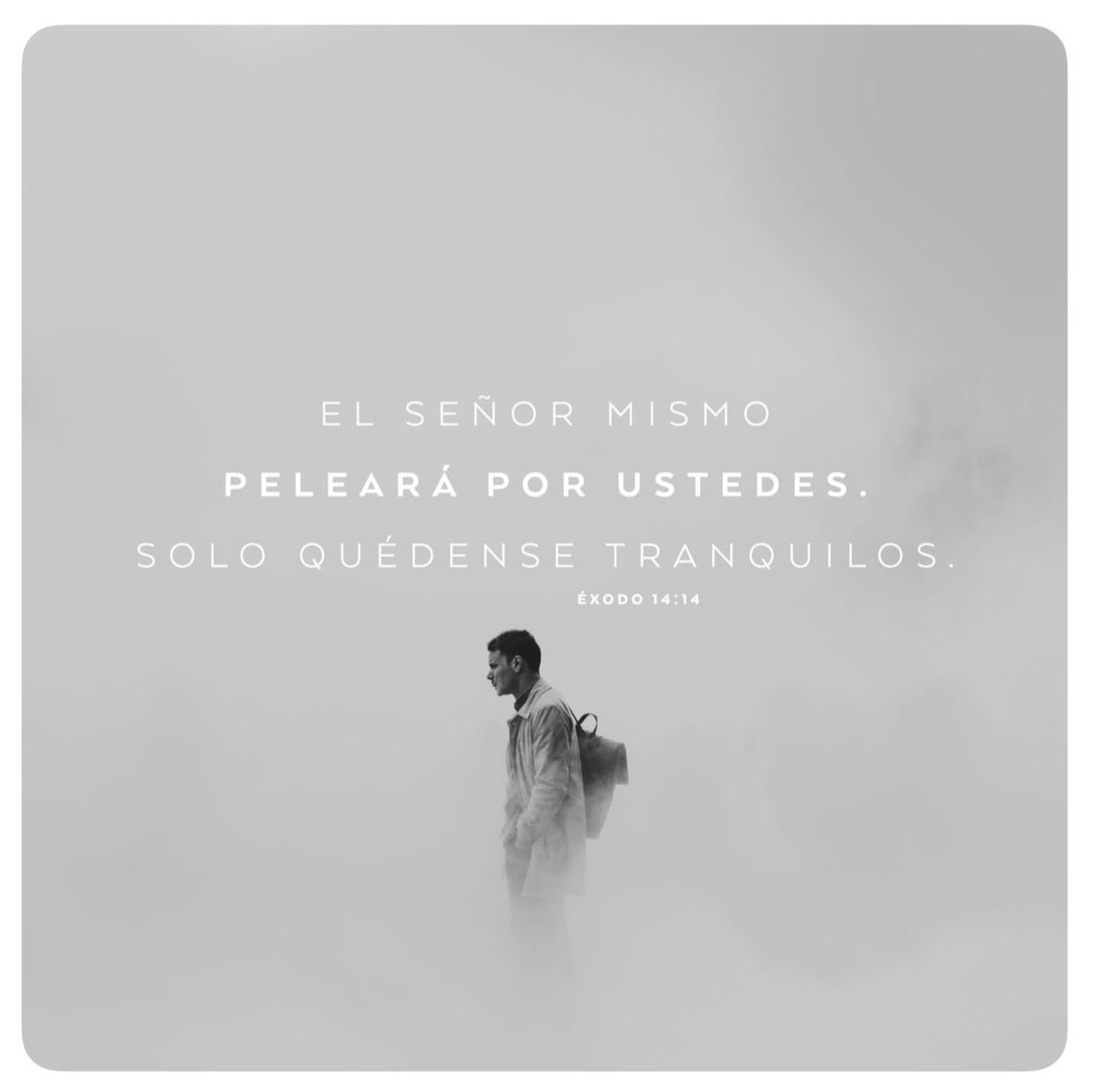 Rootman Perez (@rootmanperez) on Twitter photo 