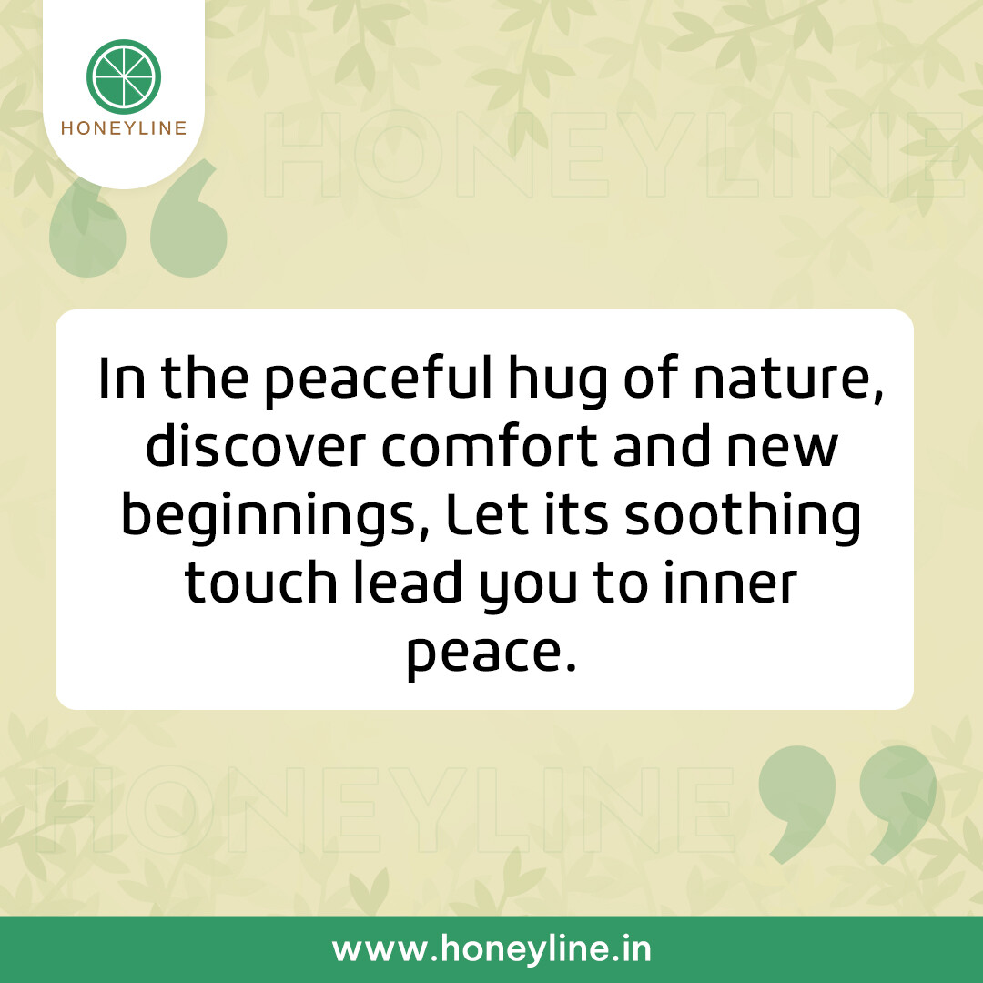 Just as the forest nourishes the soul, our Ayurvedic products replenish the body, mind, and spirit.

Visit🌐: honeyline.in

#HoneylineCapsules #NaturalHealth #WellnessJourney #HoneyBenefits #HealthyLiving #NatureInspired #BoostYourHealth #EnergizeYourLife