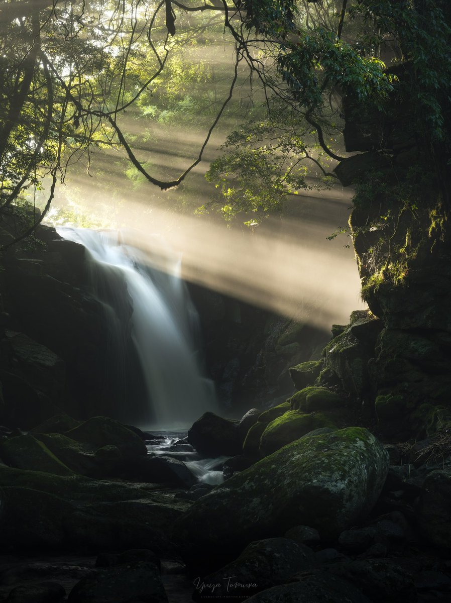 NZの有名写真家が審査するフォトコンでこの写真が最優秀賞を取ってくれました🔥
日本の風景の素晴らしさを世界に知らしめるんだ、、！
pcgophoto.com/landscape-cont…