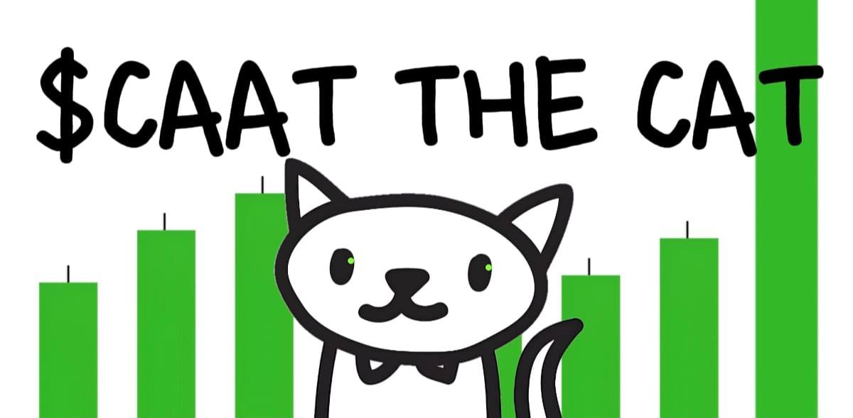 We are bidding into $CAAT @CaatTheCat maybe you have interest brother. Launched on pumpfun