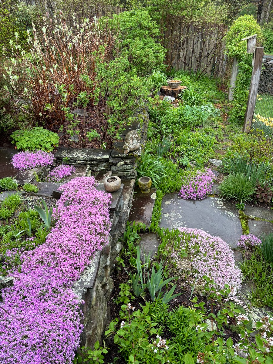 Sally Rowe tweet media