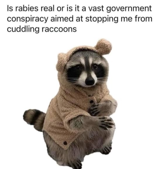 I’m convinced it’s the latter.. 🦝🥹
#Conspiracy #raccoonclub