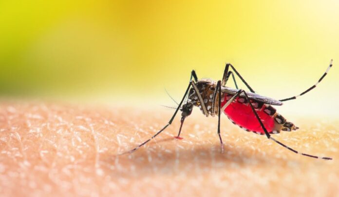 Aumentan a 301 los muertos por el brote de dengue en Argentina
#Denge #Argentina 
El Ministerio de Salud de Argentina informó en su reciente boletín epidemiológico nacional que ascendió a 301 el número de fallecidos por el brote de dengue que afecta al país, de los cuales 291…