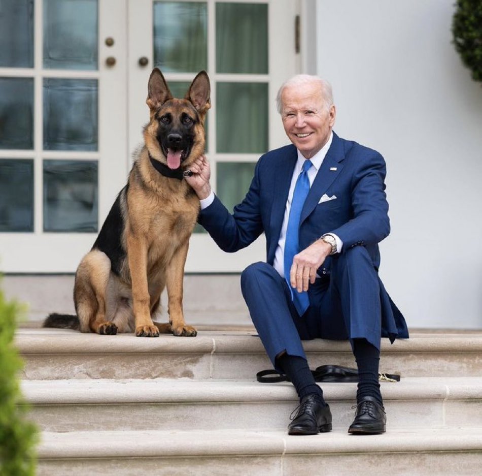 BREAKING: Unlike Donald Trump’s potential VP nominee Kristi Noem, President Biden is a dog lover.