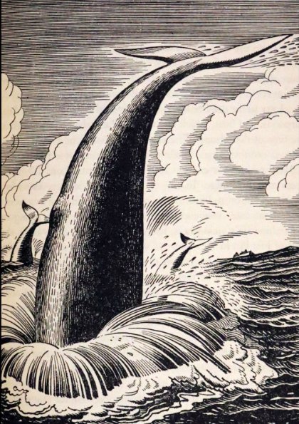 'Moby Dick or The Whale' by Melville illustrated by Rockwell Kent, 1930s #illustration