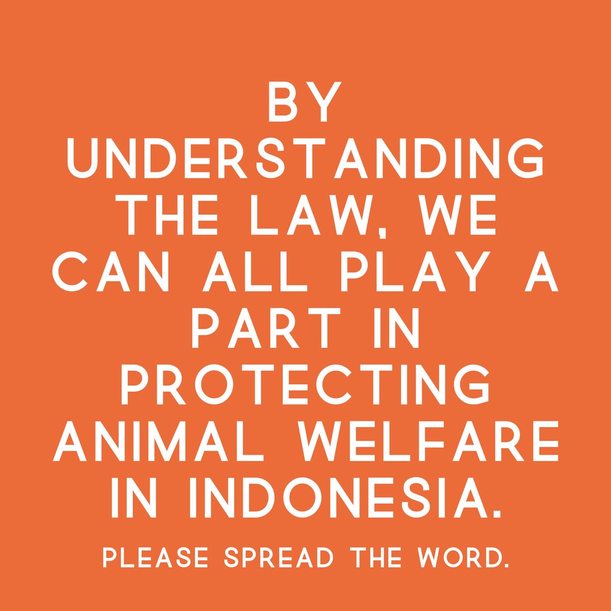 Did you know hurting animals is illegal?  Shelter for Lombok Dogs works tirelessly to protect Strays Dogs, and you can too!  Know your rights - Animal Welfare Law No. 18 of 2009 protects animals from harm.  Read more to learn how YOU can make a difference! 

#protectanimals #dogs