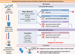 Protective role of #water intake in age-related #eye diseases: Insights from a Mendelian randomization study pubs.rsc.org/en/content/art… Note: I suspect this has to do w/ a 'crowding out' effect. The more water you drink, the less alcohol, juice and soda you're likely to consume.…