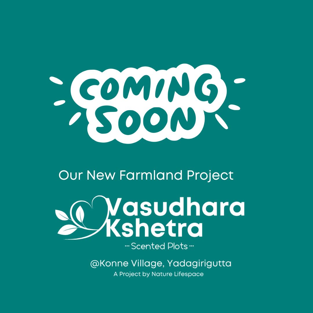 🌿 Exciting News! 🌿 Nature Lifespace welcomes you to our new project in Konne Village, Bachannapet near Yadagirigutta, Janagaon. Avail the Pre-launch Offer today! 🌳🏡 Call +919493765454 for details. #FarmPlots #Yadagirigutta #Hyderabad #Plots 🌱