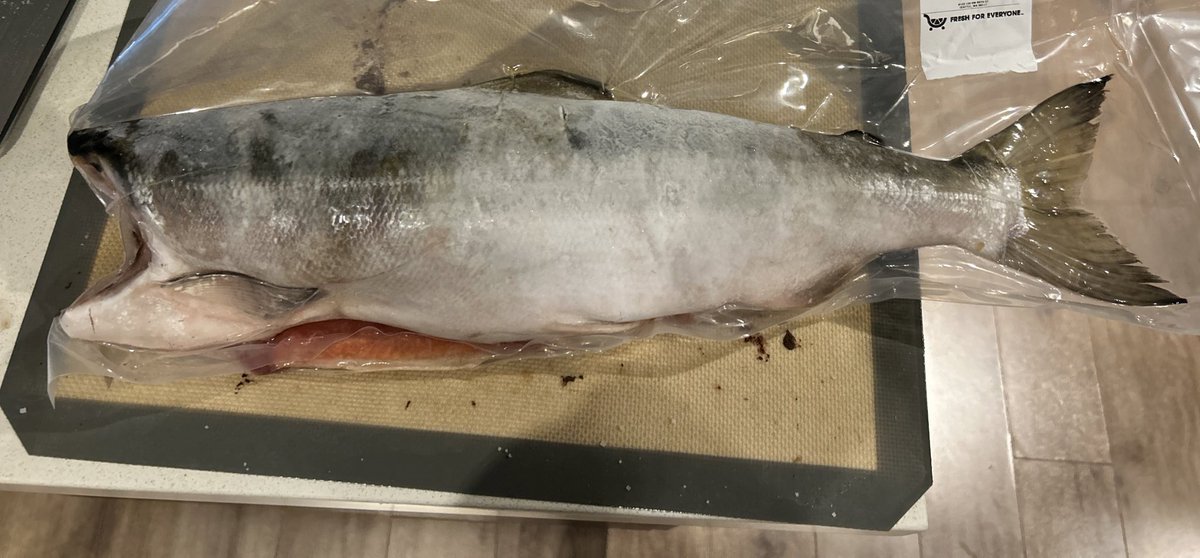 today I learned a valuable lesson… I will never again order curbside pickup because now I have a whole frozen four lb salmon that I totally thought was going to be pre fileted based on the images. This is simultaneously tragic (how do you filet a fish help) and hilarious