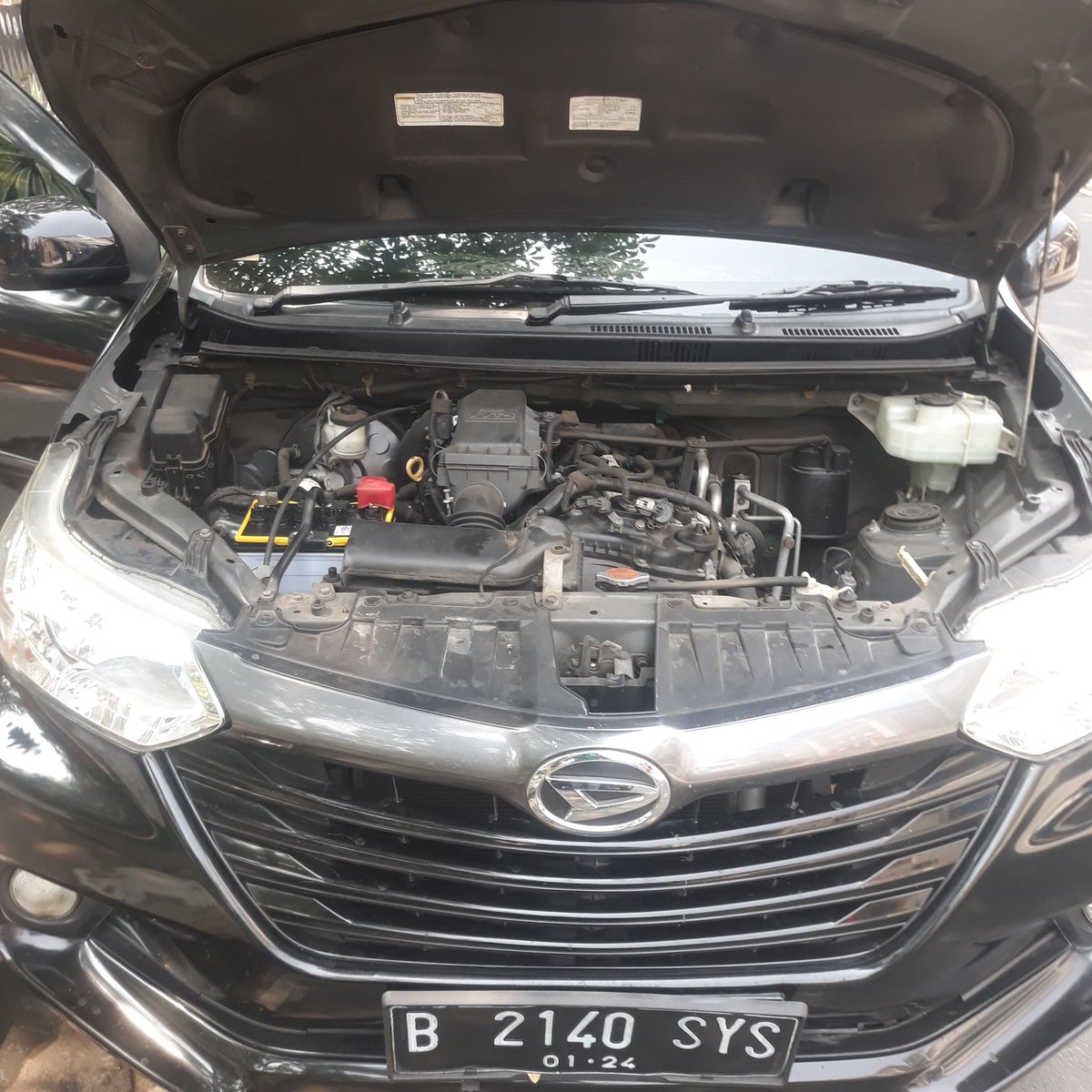 Dietdiet Chapunk tweet media