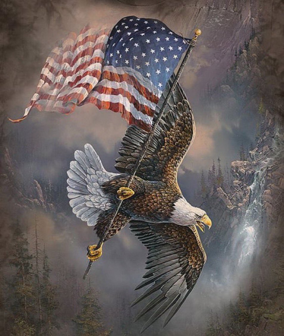 🇺🇸👊 GOOD EVENING PATRIOTS FOLLOW TRAIN🇺🇸👊 🇺🇸👊 NO ACCOUNT SHOULD HAVE LESS THAN 75K FOLLOWERS 🇺🇸👊 🇺🇸 FOLLOW ME @GOP_IS_GUTLESS 🇺🇸👊 FOR AN EXTRA +1 👊💯 AND RT FOR MORE FOLLOWERS ✅ ✅ 👊TURN ON NOTIFICATIONS 🇺🇸 🇺🇸 DROP AN EMOJI/HANDLE DOWN BELOW AND FOLLOW EVERYONE