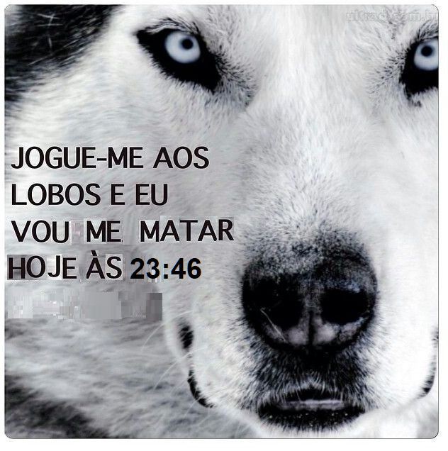 EU QUERO NAMORAAAAAAAR EU QUERO AMAAAAAAAAAR EU QUERO DEMONSTRAR AMOR ROMANTICO POR ALGUEM EU QUERO SEGURAR AS MAOS DA PESSOA QUE EU AMO SEGURAR O ROSTO DELA E ENCHER BEIJO FALAR OS MEUS MAIORES SEGREDOS E PENSAMENTOS MAIS FUTIS SEM ME IMPORTAR COM SER JULGADO