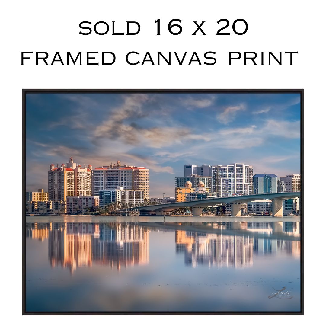 Thank you to the buyer from Sarasota, Florida for purchasing a 16 x 20 framed canvas print of the #sarasota #skyline! Choose from a variety of frames for your decor. 
fineartamerica.com/featured/skyli…
#sarasotafl #sarasotaflorida #sunhinestate