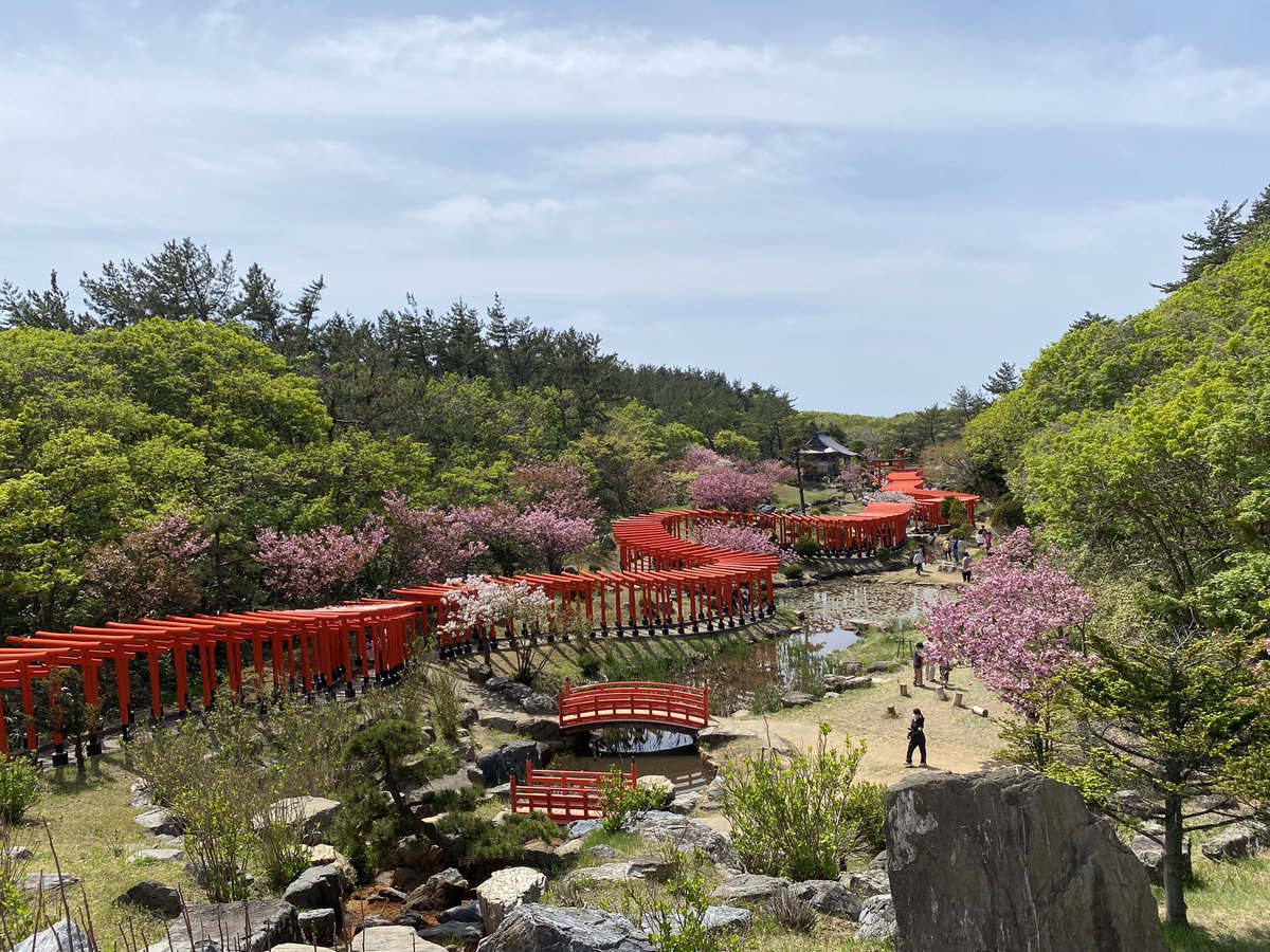 千本鳥居めっちゃ綺麗だった。まだ、桜も咲いてて天気も相まって最高！
#空澄セナ