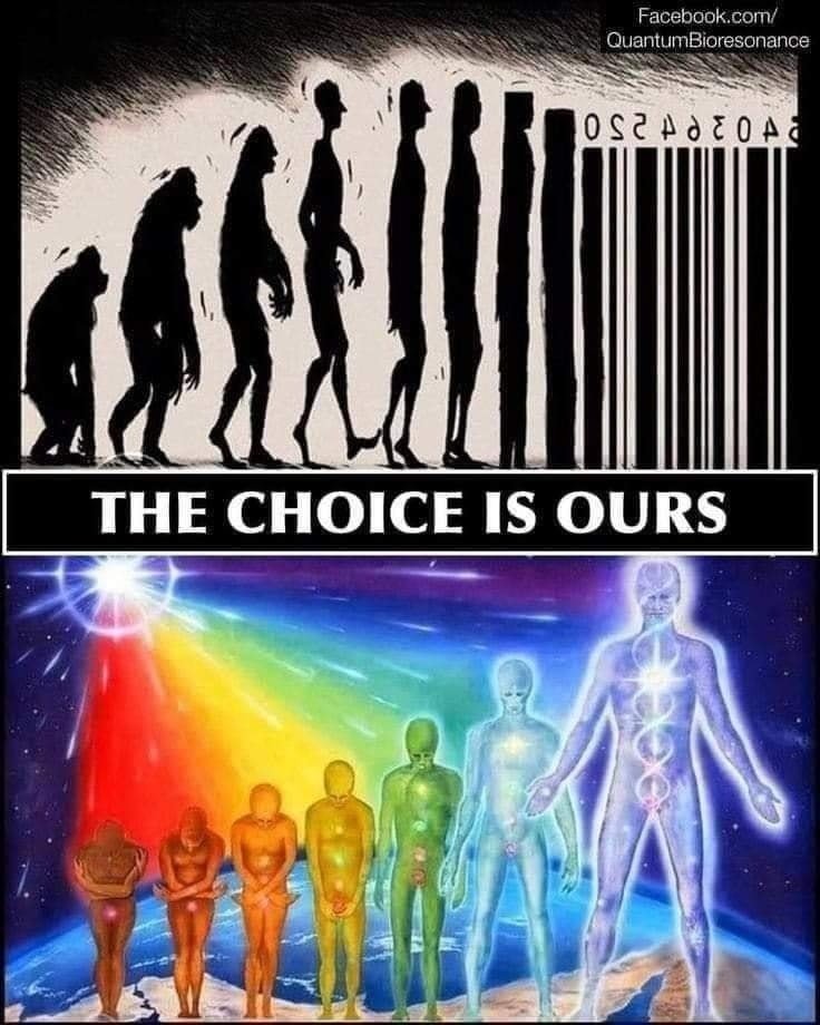 Hologurl's tweet image. How are you #evolving ?   #infinitepotential  #selfactualization   #heartcentered