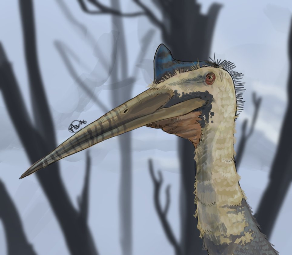 #Maysozoic Day 4 Cryodrakon. I try to catch up with the prompts. #art #paleoart