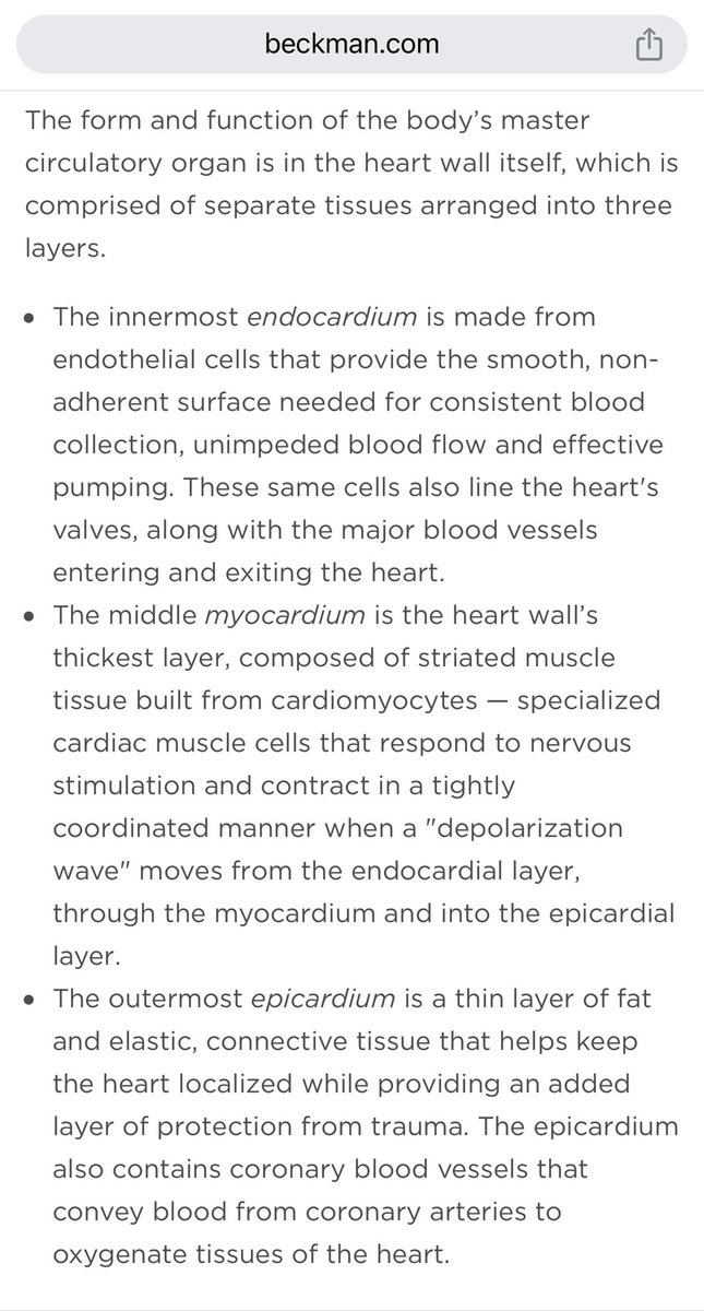 @AustinSilver75 Seems like an adult myocardium is muscle built of cardiomyocytes. Which are specialized muscle cells. 

So I’m a little confused what distinction you’re trying to make. 

Why do you discriminate based on what stage of development a human is in? 

What if a human has a heart…