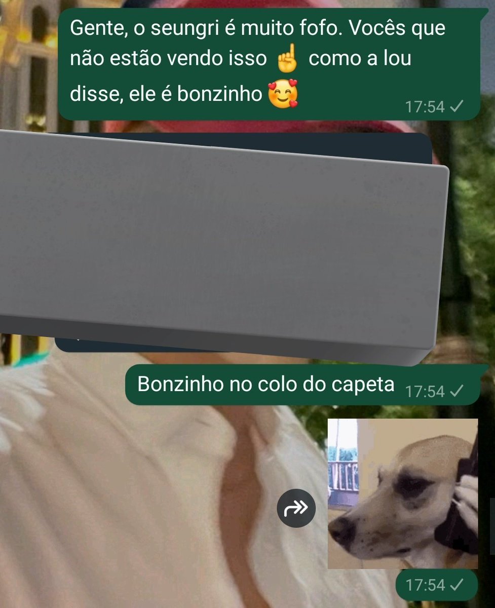 Meu Deus, ela nem pra postar tudo.  TIROU DE CONTEXTO VOU CHORAR