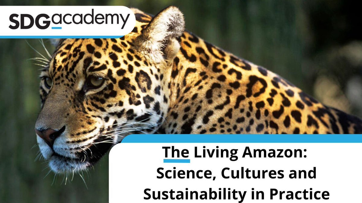 Happy #PortugueseLanguageDay!💬 To learn about the #SDGs and one of our planet's most dynamic ecosystems, check out our course, The Living Amazon: Science, Cultures and Sustainability in Practice. Enroll today➡️ buff.ly/42X1JeA