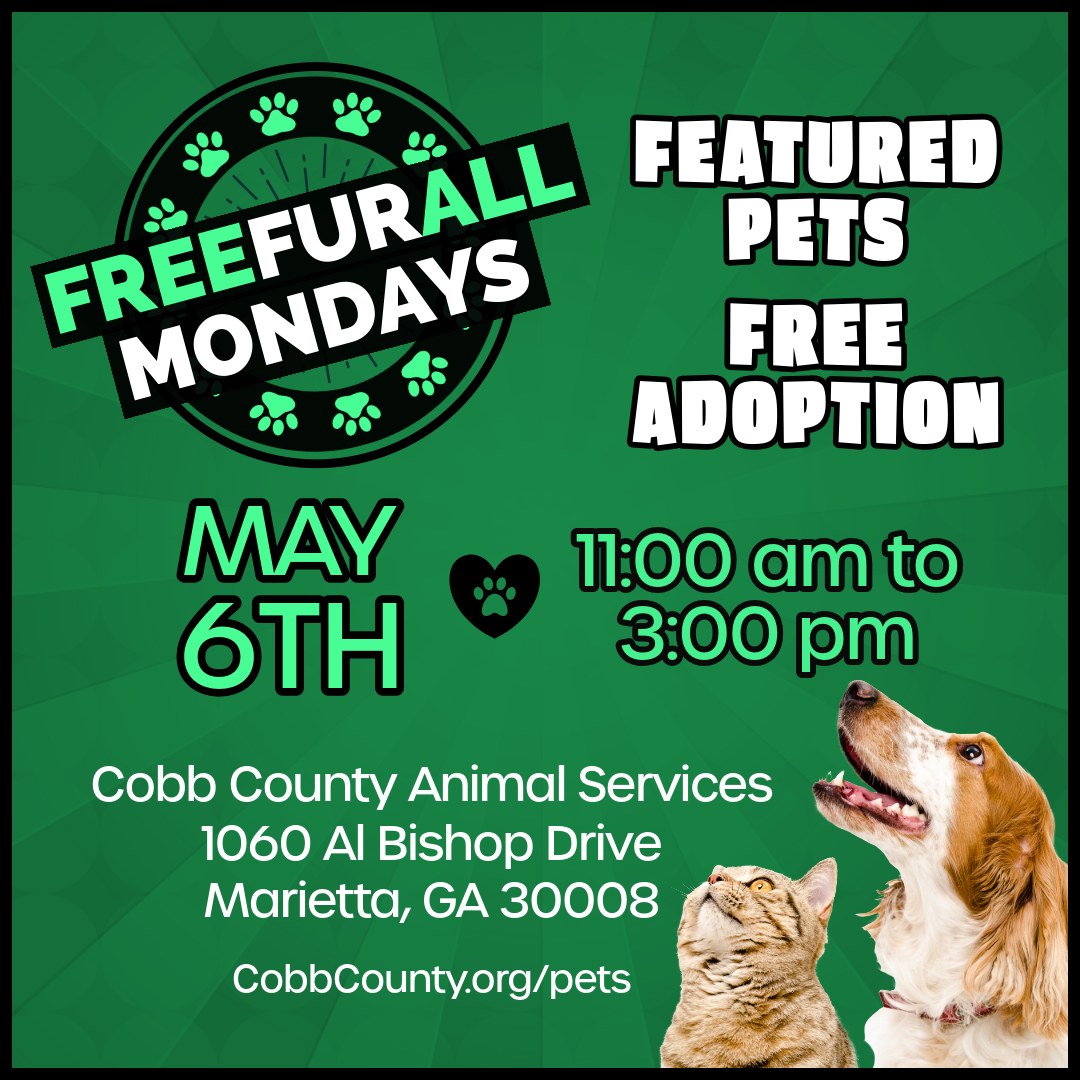 Free Fur All Mondays! 🐈🐱  Turn Mondays into fun days at Cobb Animal Services' adoption events. 😍 🐕 Stop by 1060 Al Bishop Drive from 11 a.m. - 3 p.m. Monday, May 6 to find your fur-ever friend. 🐶 

#cobbcounty #cobbanimalservices #adoption