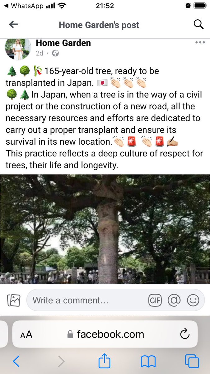 So why are developers hell bent on felling every #tree 🌳that’s in the way in this country ❓
It’s clear there is no respect for these amazing living things, a necessity in helping with #AirPollution, #climatechange & giving homes to #wildlife.
#SaveourTrees