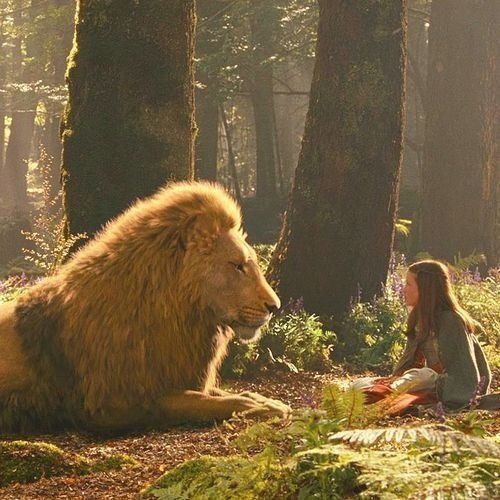 Ne kadar çizgi film karakteri sayılır bilmem ama Narnia'nın Aslan'ı... Küçükken aynı Lucy gibi hayrandım kendisine