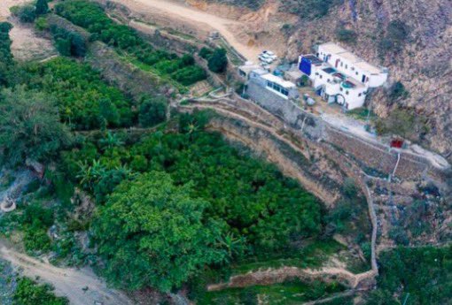 ٤. المرافق:
  - تضم المزرعة نزلًا ريفية ومتحفًا مصغرًا لتعريف الزوار والسياح بالتاريخ والتقاليد الزراعية وبما كان الآباء والأجداد يستخدموه في الزراعة.

٥. المبادرات البيئية والاجتماعية:
- بادرت المزرعة بإزالة 1200 شجرة قات واستبدالها بالبن والموز والمانجو، تعزيزًا للزراعة