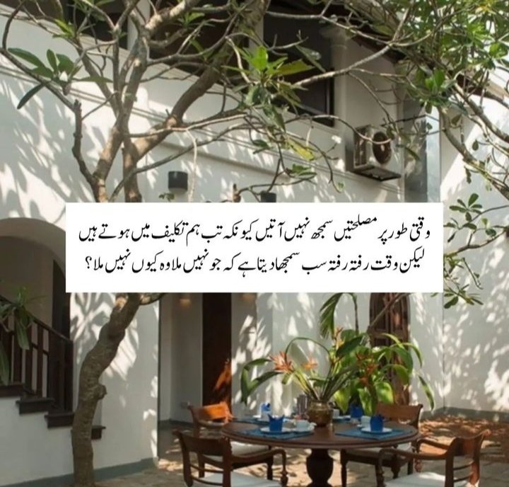 Ramish tweet media
