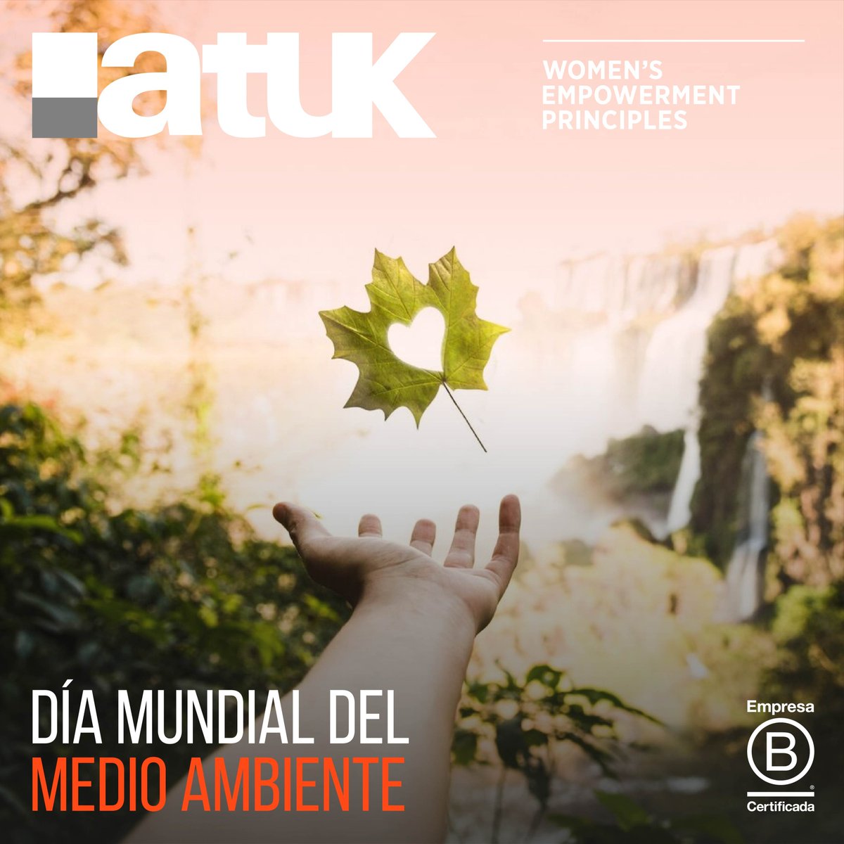 Es el #DíaMundialDelMedioAmbiente. 💚🌍 Tenemos un compromiso global por un futuro más verde, donde todas las voces y acciones importan. ¡Cada paso hacia la sostenibilidad suma! #MedioAmbiente #Sostenibilidad