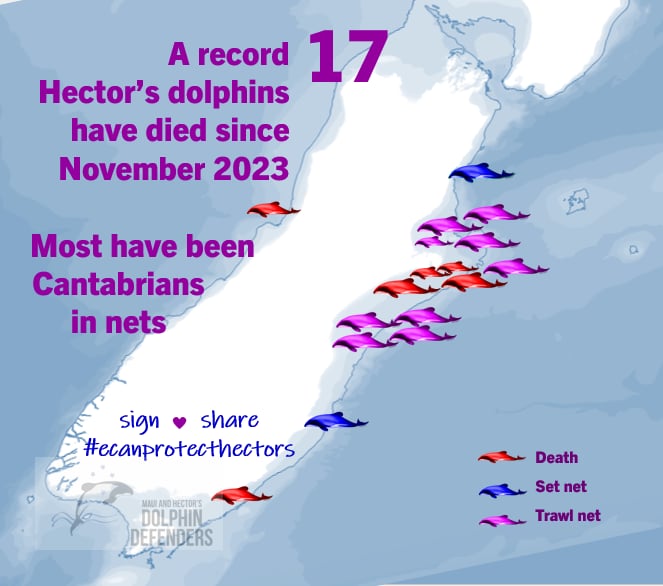 Hector's dolphins killed in Canterbury waters are being reported at record levels.
Have you signed and shared the petition calling on ECan to protect Hector's? Please do! Stop extinction, protect Hector's.
#ECanprotecthectors
#protecthectors

community.greenpeace.org.nz/petitions/ecan…